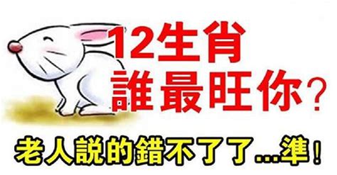 生肖貴人|12生肖的命定貴人！你屬什麼生肖「你的貴人就是誰」。